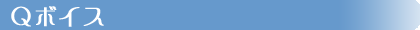 �p�{�C�X